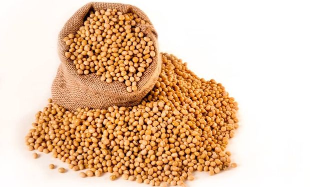 Queda do dólar e expectativa de safra pressionam cotações da soja