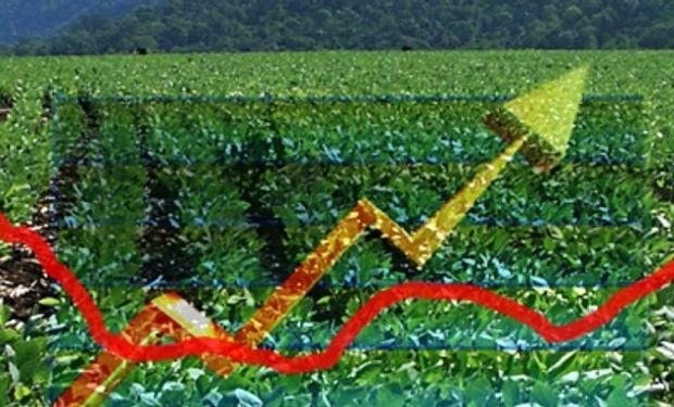 Mayores ofrecimientos por trigo y maíz pese a precios bajos