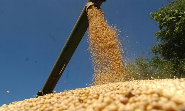 Entidades rurales cruzan al Gobierno por el nuevo dólar soja y hay expectativas sobre la respuesta del mercado de granos