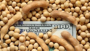 Soja a $100.000 y maíz a US$ 210 en el mercado local, mientras Chicago recupera terreno