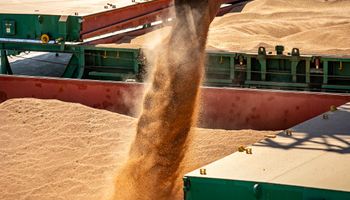 Com safra reduzida, Brasil deve exportar menos soja em 2024