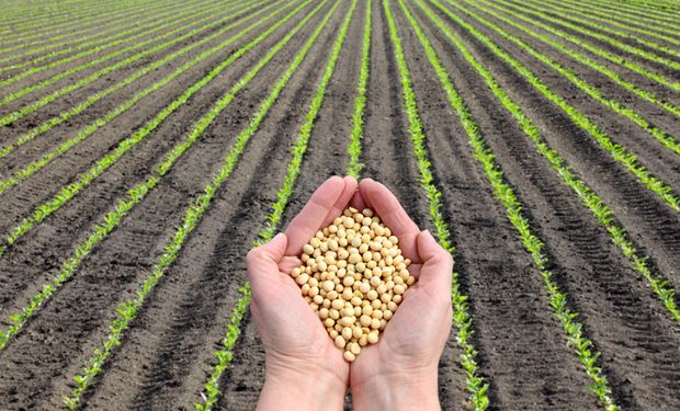Conheça 9 novidades da Embrapa para produtores de soja em 2022