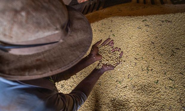 USDA prevê safra de soja do Brasil em 150 milhões de toneladas em 2023/24