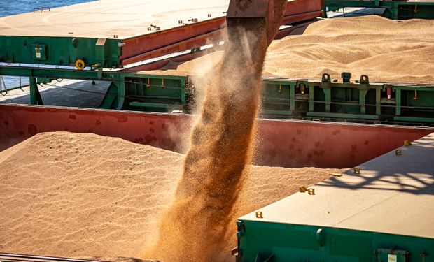 Destaque de novembro, as exportações de soja em grãos atingiram volume de 5,20 milhões de toneladas. (Foto - Claudio Neves/PR)