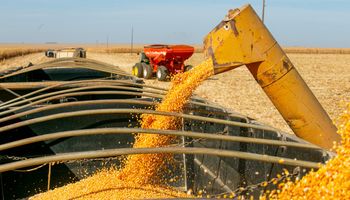 FictorAgro fatura R$ 1,8 bilhão com comercialização de grãos em 2023