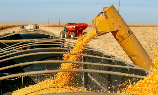 FictorAgro fatura R$ 1,8 bilhão com comercialização de grãos em 2023