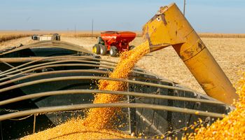 Soja: Novas vendas asseguram ganho moderado em Chicago; amostras positivas do Crop Tour limitam reação