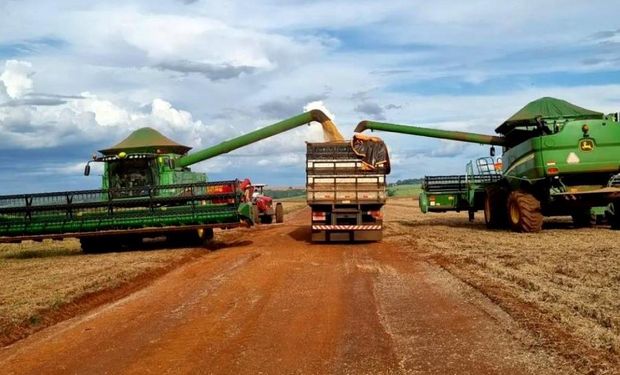 Cenário de incertezas no campo também está refletindo na comercialização. (Foto - Divulgação)