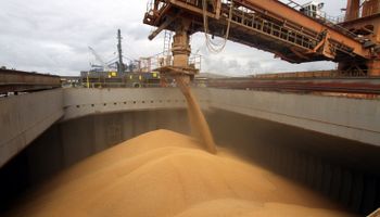 Sube un 15% la exportación de cereales