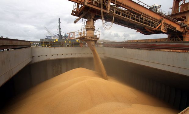 Sube un 15% la exportación de cereales