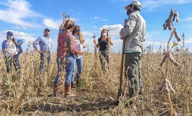 Viajaron al desierto para estudiar bacterias de 3500 millones de años y crearon un producto que mejora los rindes de la soja