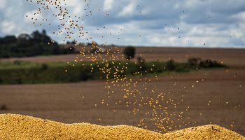 Ipea aponta desaceleração de preços do agro