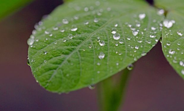 Las zonas que podrían recibir lluvias en el comienzo de la semana