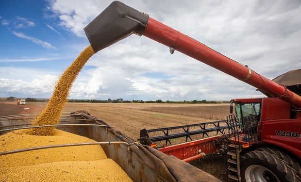 A última vez que a cotação da saca de 60 quilos de soja esteve abaixo de R$ 171 foi em 15 de dezembro de 2021, com R$ 169,04. (foto - CNA)