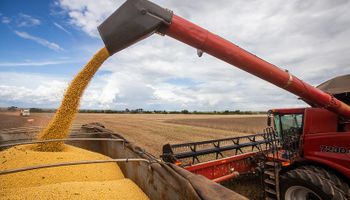 Brasil fecha safra histórica de grãos com recorde de 322,8 milhões de toneladas