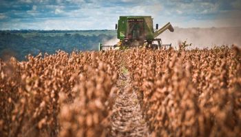 “Es una herramienta concreta para aliviar al campo”: Santiago del Estero suspende Ingresos Brutos al agro por seis meses