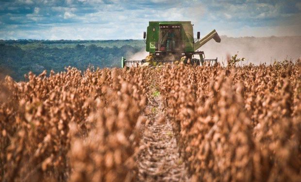 “Es una herramienta concreta para aliviar al campo”: Santiago del Estero suspende Ingresos Brutos al agro por seis meses