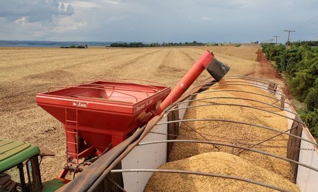 En nueve gráficos: así quedó la oferta y demanda de soja, trigo y maíz según el USDA