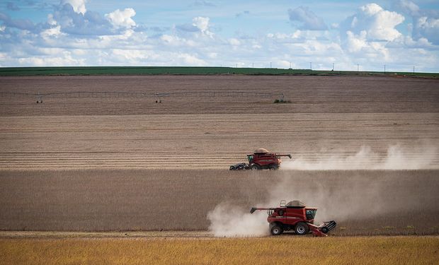 USDA estima volume recorde, de 149 milhões de toneladas, para a safra 2022/2023 no Brasil, 18,25% acima da temporada anterior. (foto - CNA)