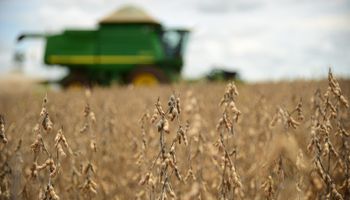 Pouca chuva já afeta produtividade da soja no Mato Grosso