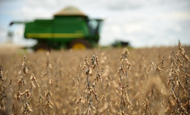 Plantio da soja alcançou 98,4% da área estimada para 2022/23 no Brasil até 31 de dezembro. (foto - CNA)