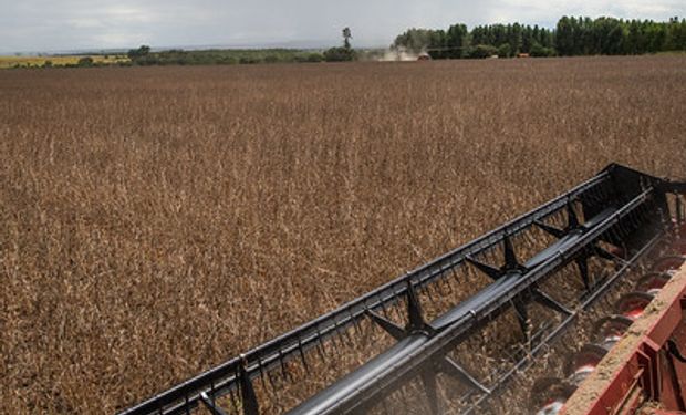 Segundo  Senar/MS, estado já alcançou 98,6% de área colhida de soja em 2023. (foto - CNA/Senar)