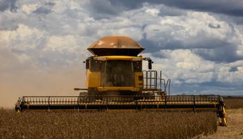 Soja em Mato Grosso supera clima adverso e atinge 51,56 milhões de toneladas