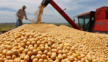 Mato Grosso do Sul tem queda de quase 22% na produtividade da safra de soja
