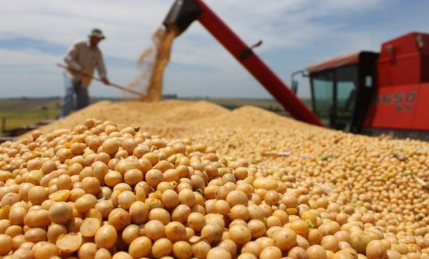 Mato Grosso do Sul tem queda de quase 22% na produtividade da safra de soja