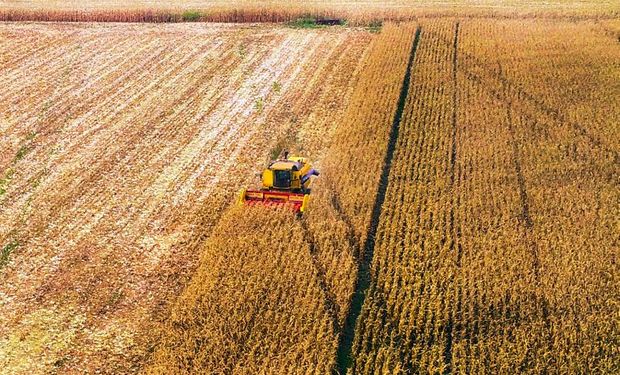 CNA mapeia custos de produção de cana e grãos no Centro-Oeste: “safra aquém do esperado”