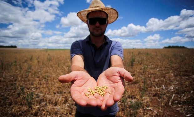 Pausa en el mercado de granos: la lista de factores alcitas, bajistas y las dudas que impactan sobre soja, trigo y maíz