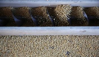 Cuánta soja queda sin vender y qué precio se llegó a pagar en Rosario