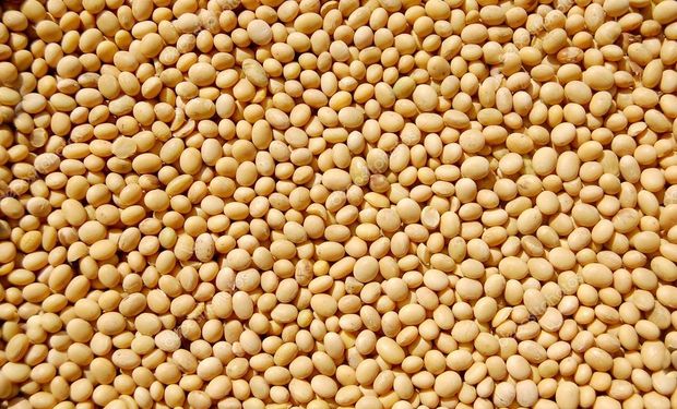 Los datos que le dan un nuevo impulso a los precios de la soja, el trigo y el maíz