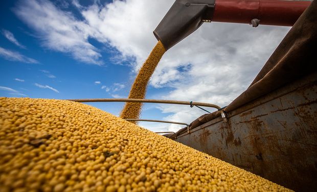 El precio de la soja en Rosario se mantiene en los $150.000 la tonelada