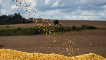 Para la cadena de la soja es "increíble" que uno de cada tres camiones que salen del campo sean para el Estado: "La esperanza es que nos saquen la pata de encima"