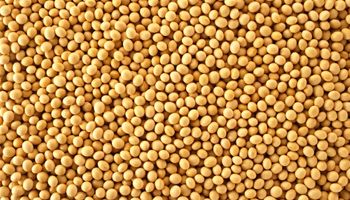 El precio de la soja sube por cuarta rueda consecutiva