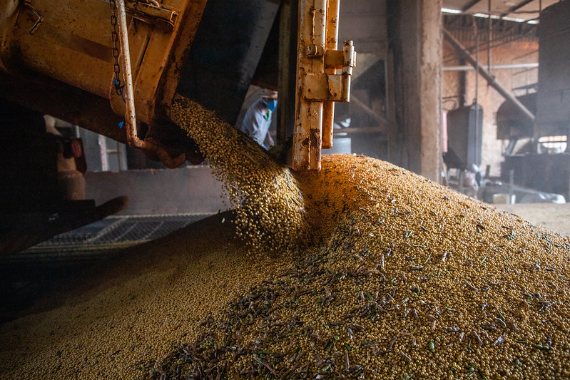 noticiaspuertosantacruz.com.ar - Imagen extraida de: https://news.agrofy.com.ar/noticia/209791/no-frena-baja-mercado-internacional-soja-trigo-y-maiz-cuanto-se-paga-rosario-granos