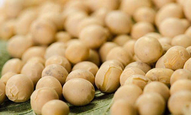 Negociações de soja travam no Brasil com produtores retraídos e compradores cautelosos