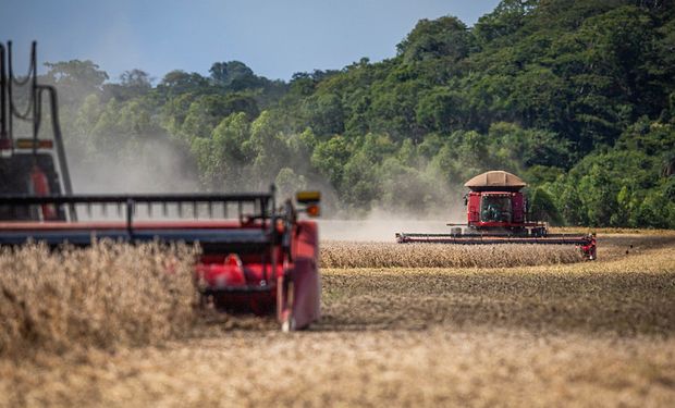 Expansão ocorreu majoritariamente pela intensificação do uso da terra por meio da conversão de pastagens. (foto -