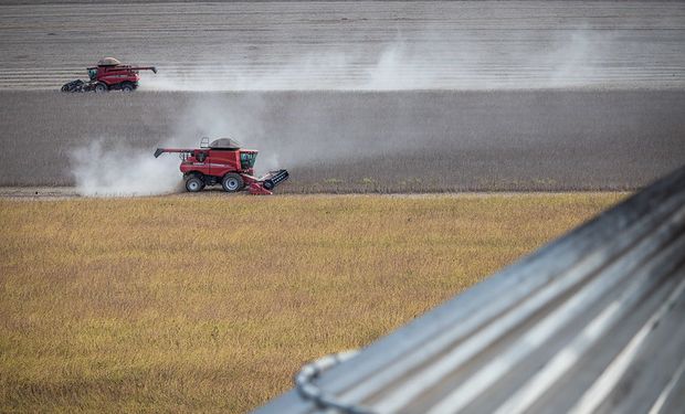 Após dois meses de alta, preço da soja abre setembro em compasso de espera por mercado internacional. (foto - CNA)