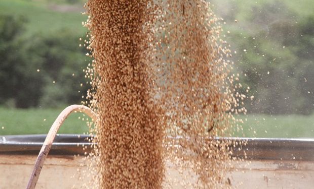 El precio de la soja se mantiene en los $105.000 pesos en el mercado local
