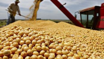 Brasil pode ter safra recorde de soja com até 180 milhões de toneladas