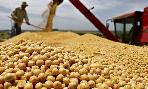Brasil pode ter safra recorde de soja com até 180 milhões de toneladas