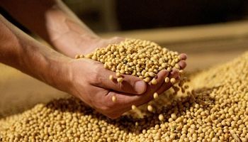 Sin operaciones en Chicago, la soja cerró a 93.000 pesos en Rosario