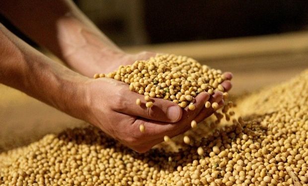 Sin operaciones en Chicago, la soja cerró a 93.000 pesos en Rosario