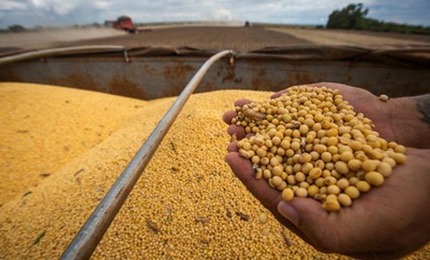 Brasil projeta alta de 20,6% na safra de soja 2022/023. (foto - Sistema CNA/Senar)