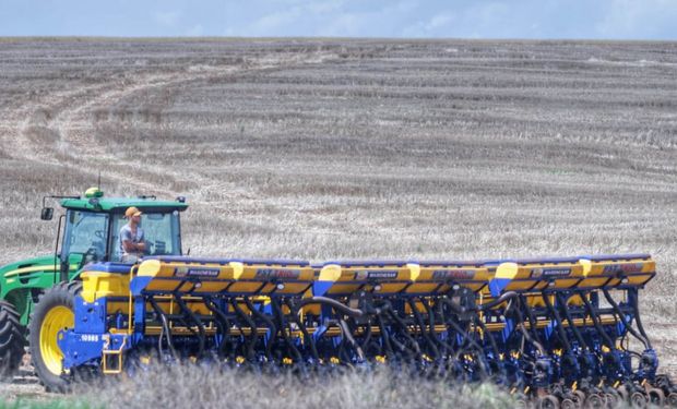 Com o fim do vazio sanitário, pelo menos 1% da área estimada de 5,8 milhões de hectares já está semeada. (Foto - Alessandro Vieira/PR)