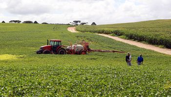 Clima reduz projeções de produção de soja e milho no Paraná