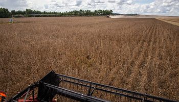 Cooperativas agropecuárias do Paraná faturaram R$ 160 bilhões em 2022