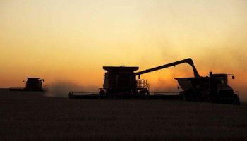 Desde retenciones hasta caminos rurales: 13 puntos claves para la agroindustria argentina